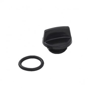 50.001.202 Plug with gasket (Drain or Prime) for BE Water Pump 50001202